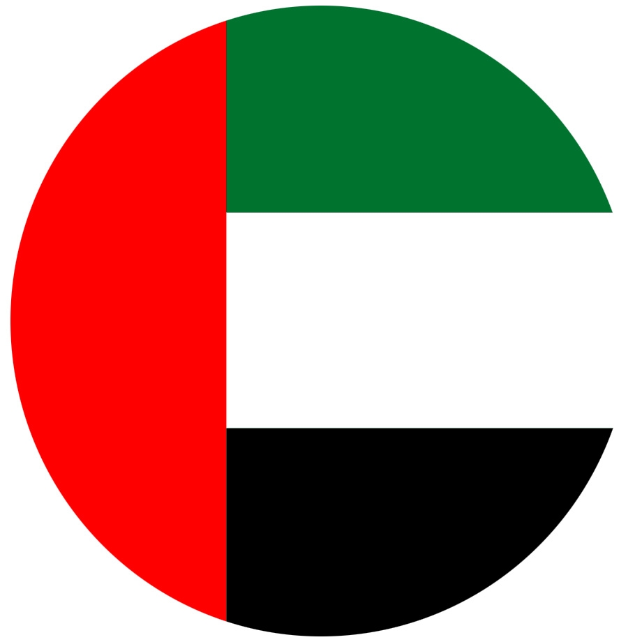 Dubai Flag