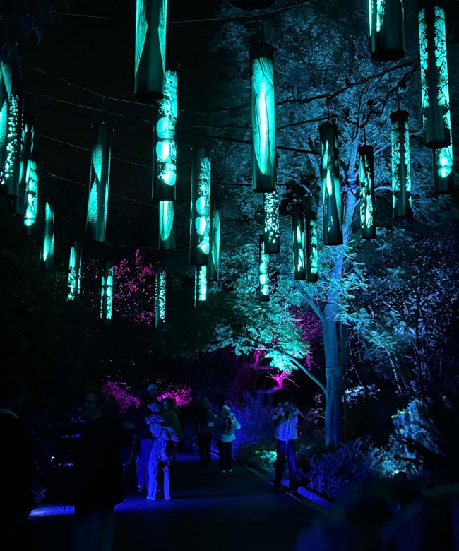 Cool-toned WILDERNESS WITHIN lantern detail