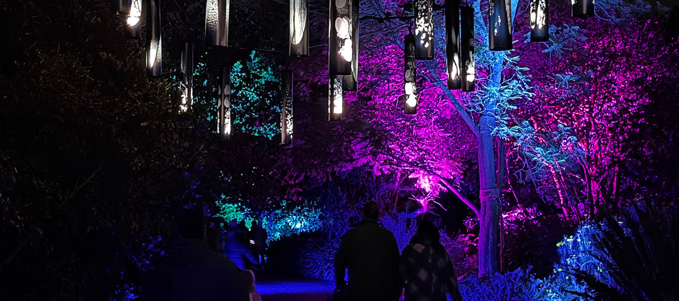 WILDERNESS WITHIN glowing through the Royal Botanic Gardens Melbourne