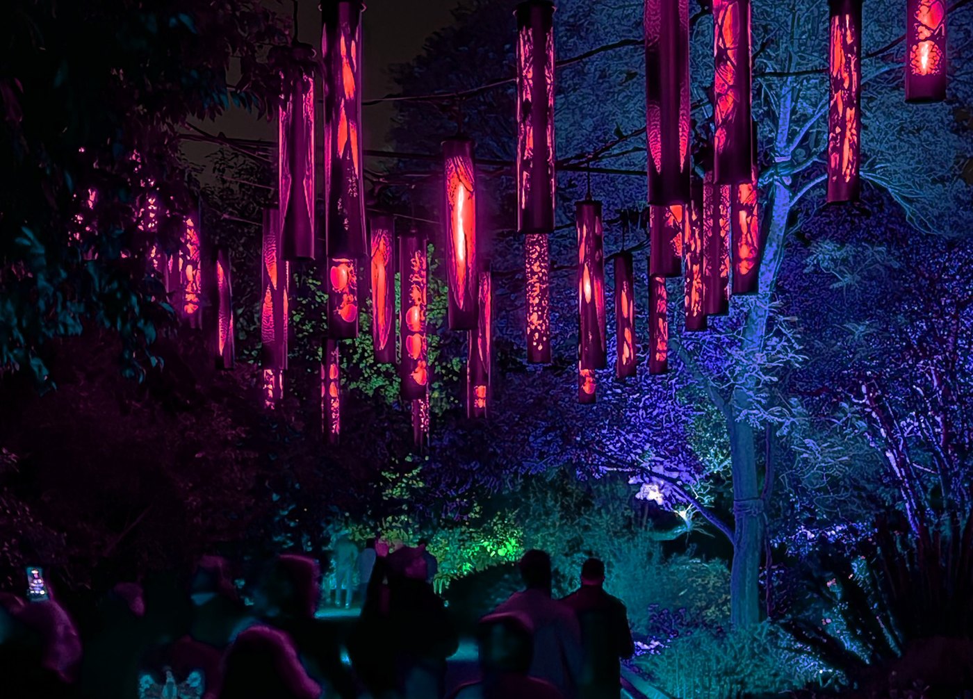 WILDERNESS WITHIN by Dr Betty Sargeant at Lightscape Melbourne